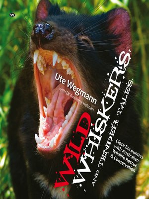 cover image of Wild Whiskers and Tender Tales: Close encounters with Australian wildlife rescue and conservation
